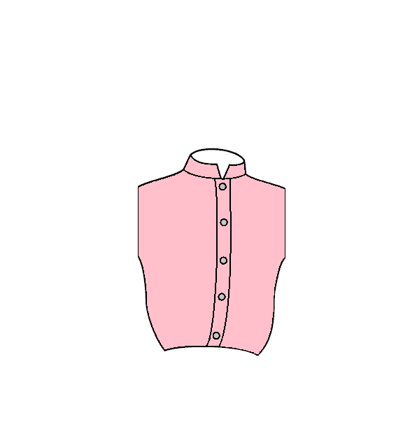 Image Casaque