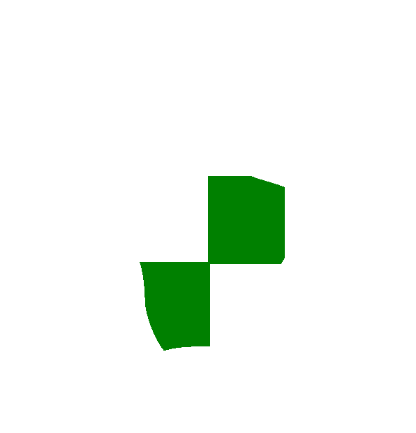 Image Motif