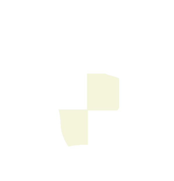 Image Motif