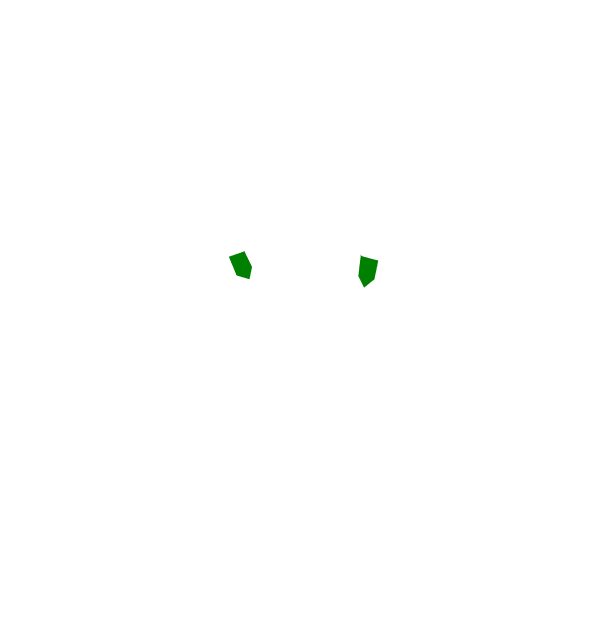 Image Motif