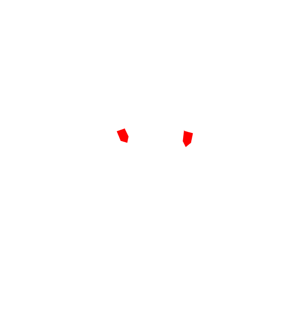 Image Motif