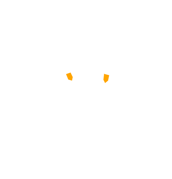 Image Motif