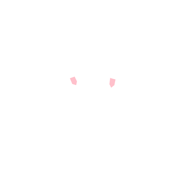 Image Motif