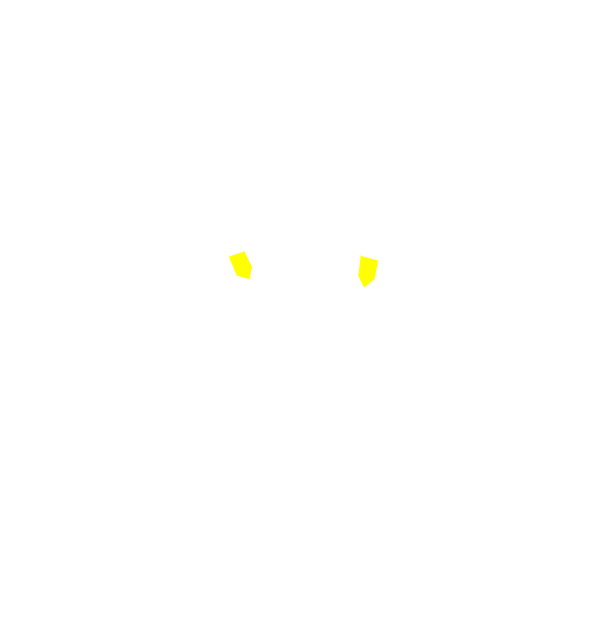 Image Motif