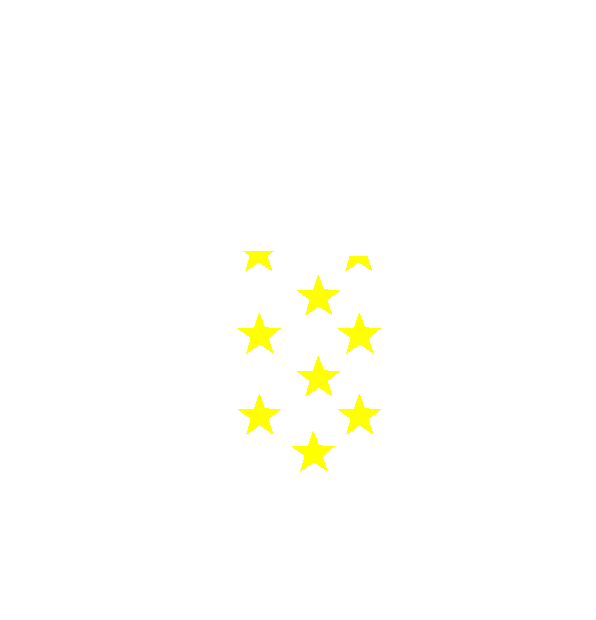 Image Motif
