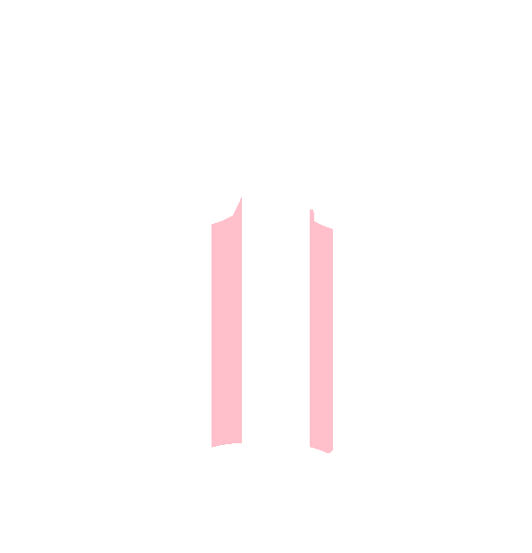 Image Motif