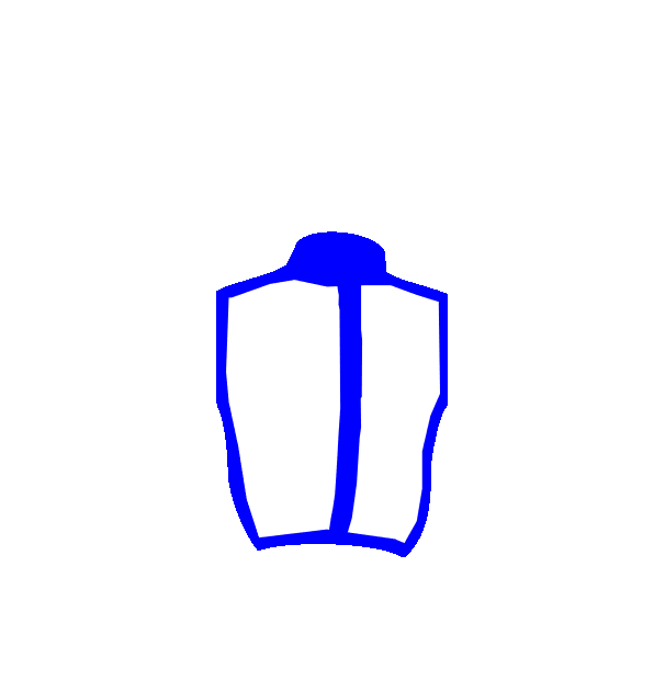 Image Motif