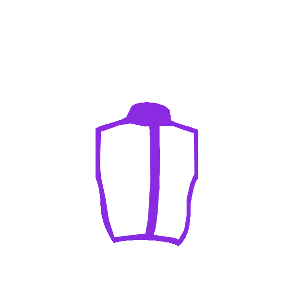 Image Motif