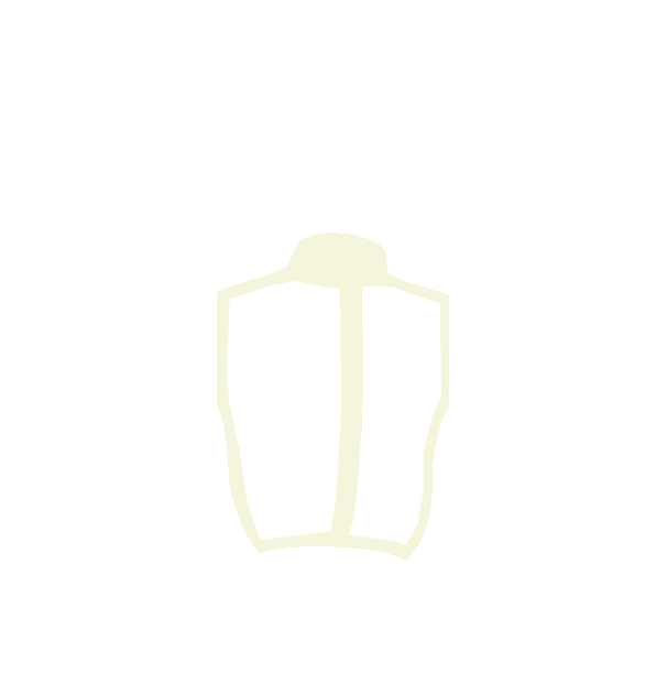 Image Motif