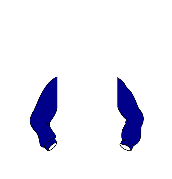 Image Motif