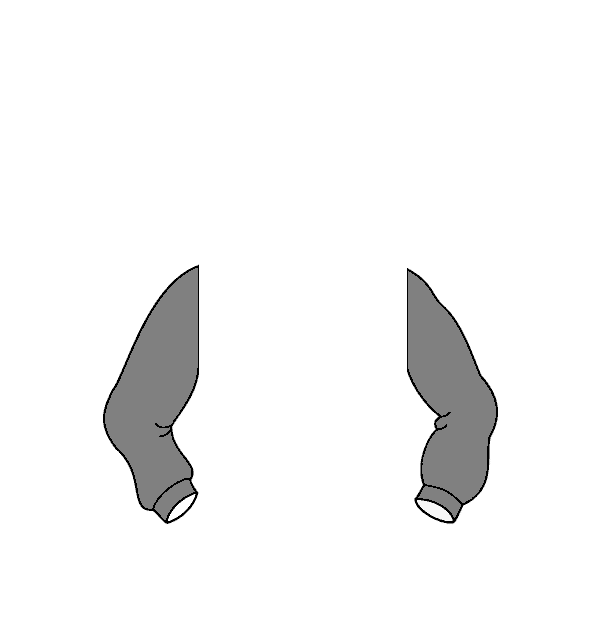 Image Motif