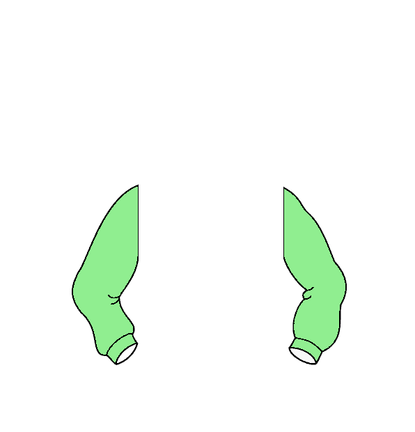 Image Motif