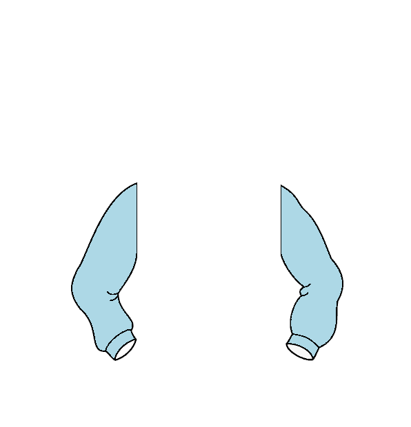 Image Motif