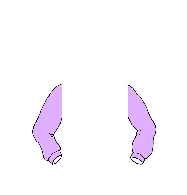 Image Motif