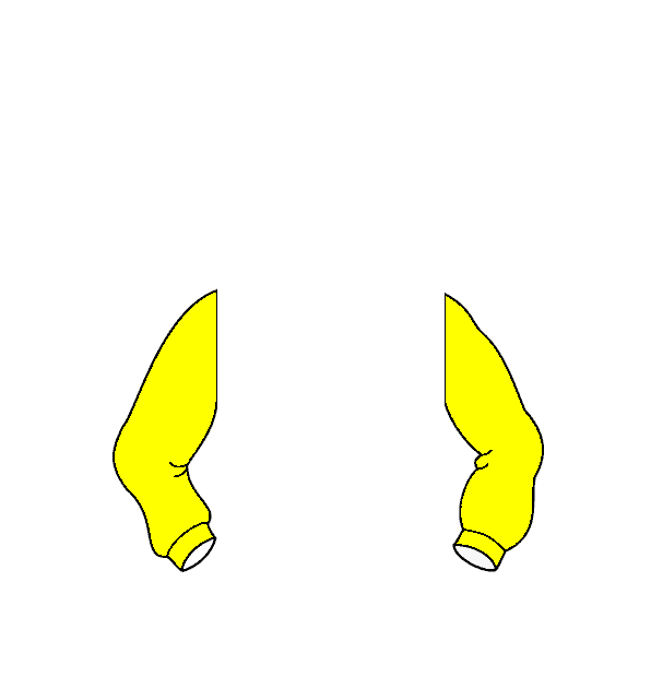 Image Motif