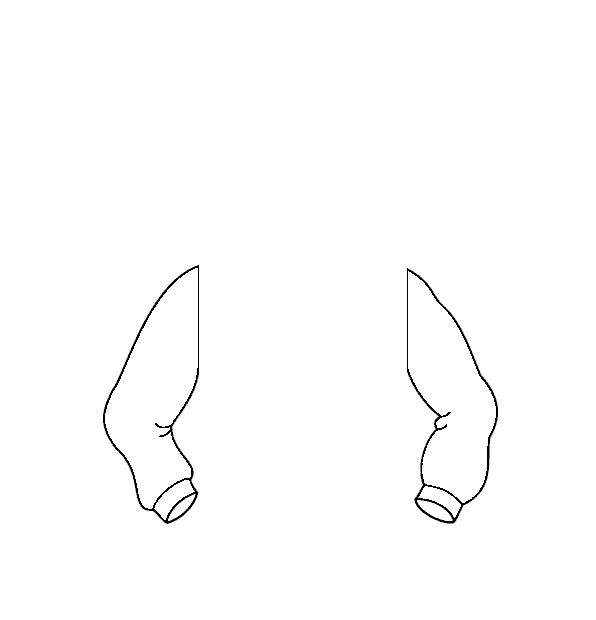 Image Motif