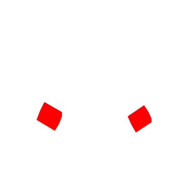 Image Motif
