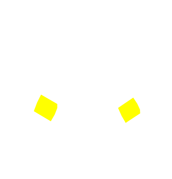 Image Motif