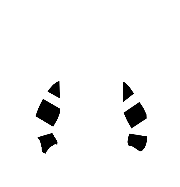 Image Motif