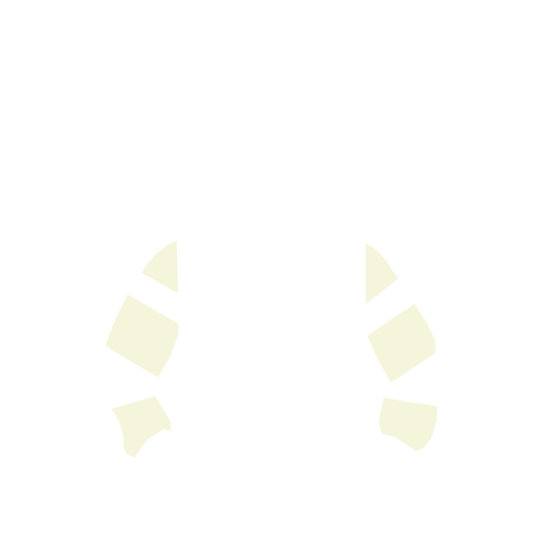 Image Motif