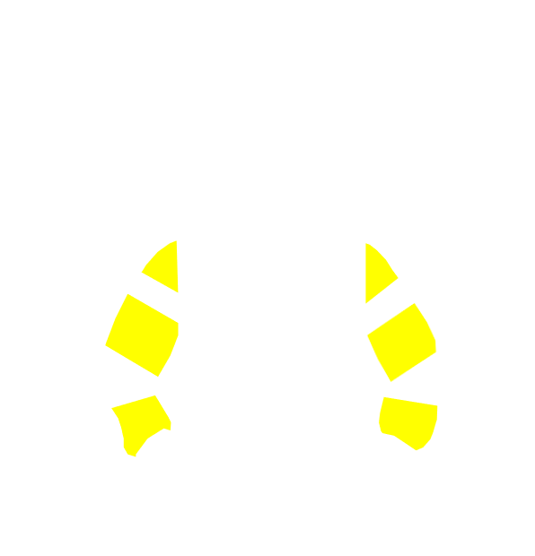 Image Motif