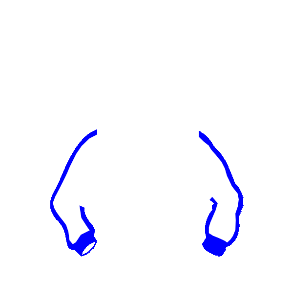 Image Motif