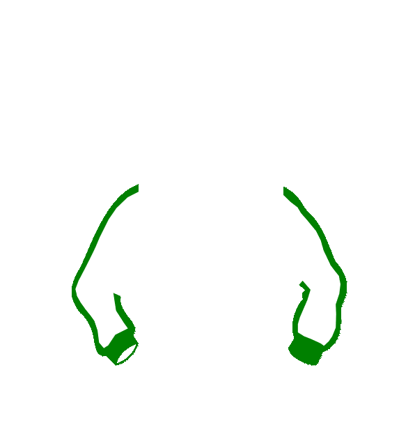 Image Motif