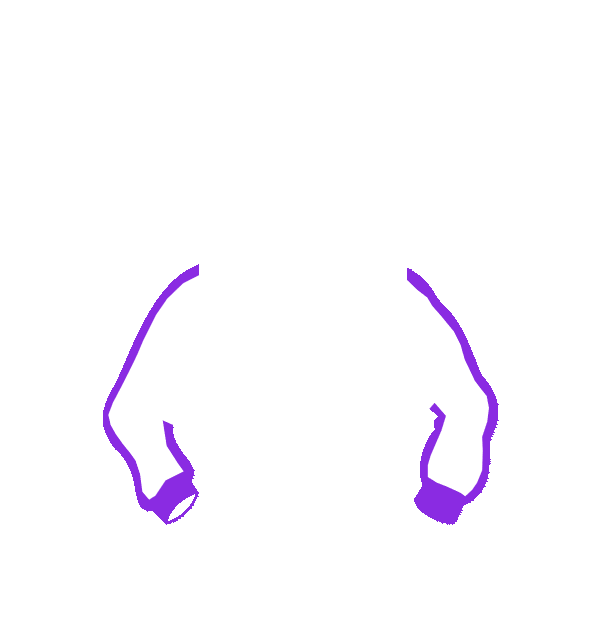 Image Motif