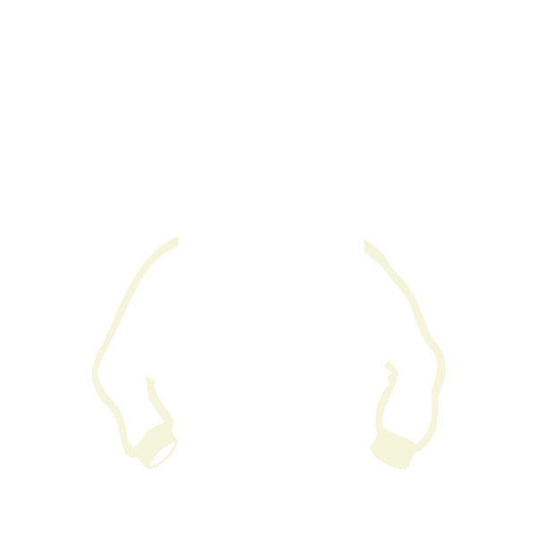 Image Motif