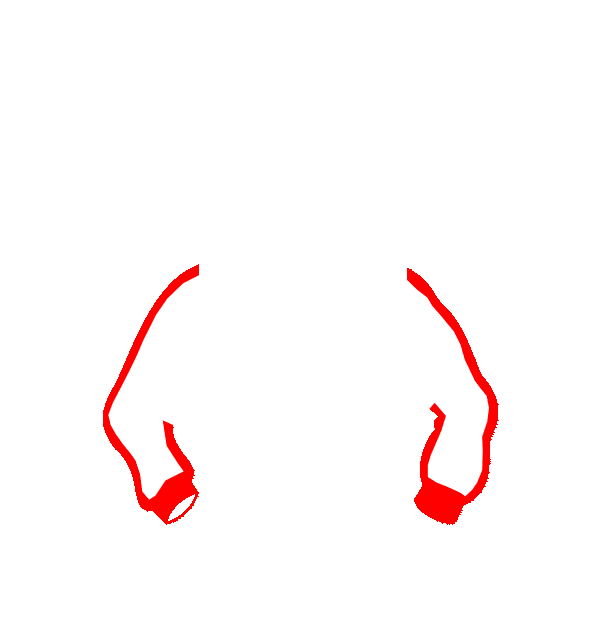 Image Motif