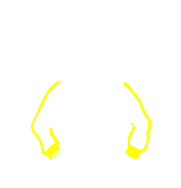 Image Motif