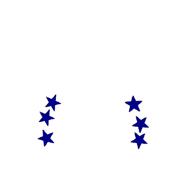 Image Motif