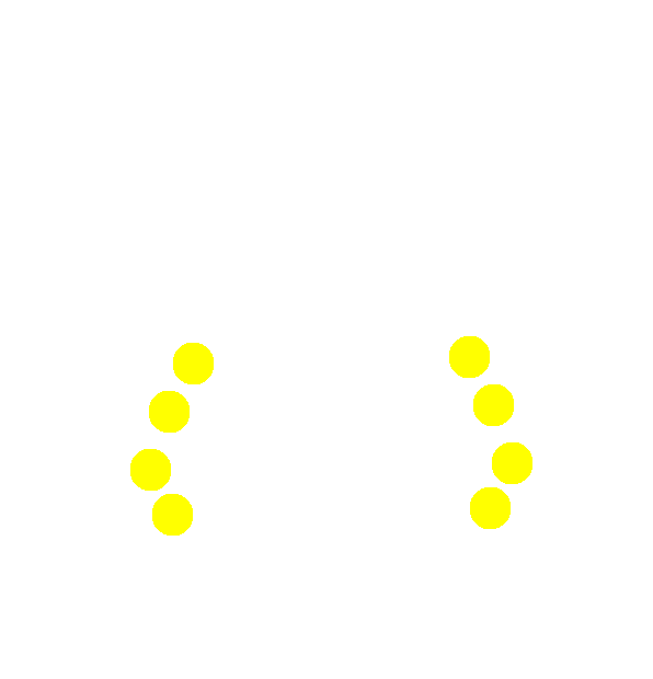 Image Motif