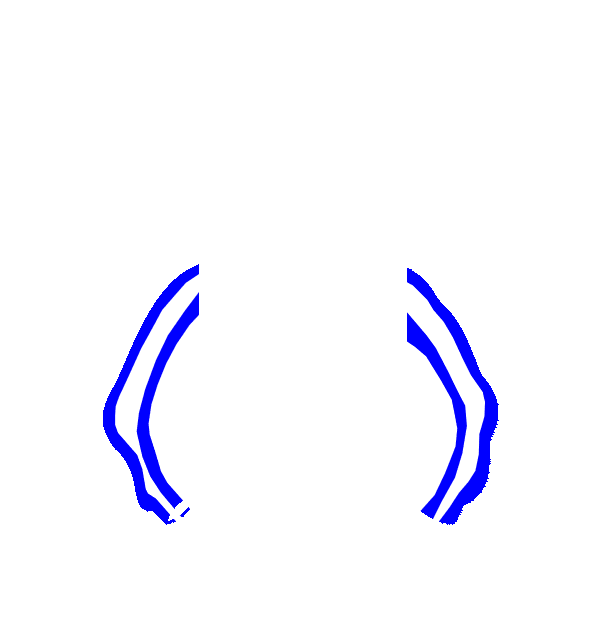 Image Motif