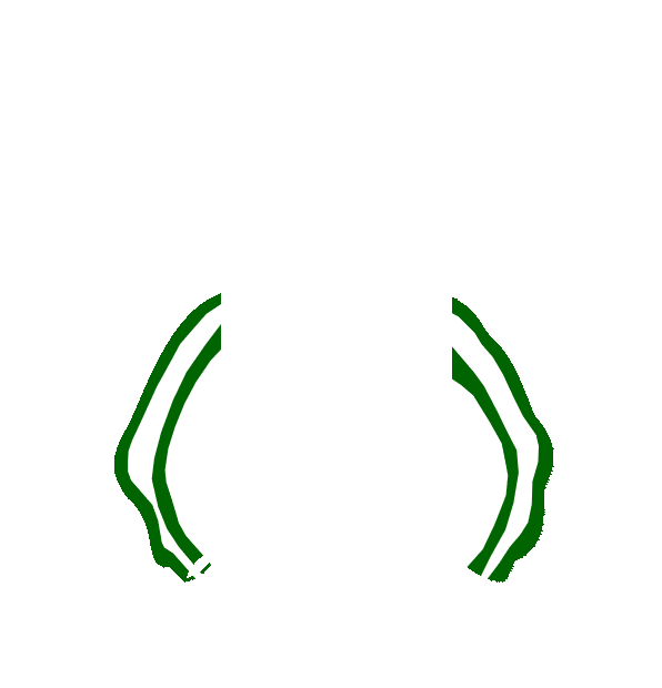 Image Motif