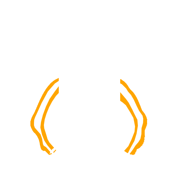Image Motif