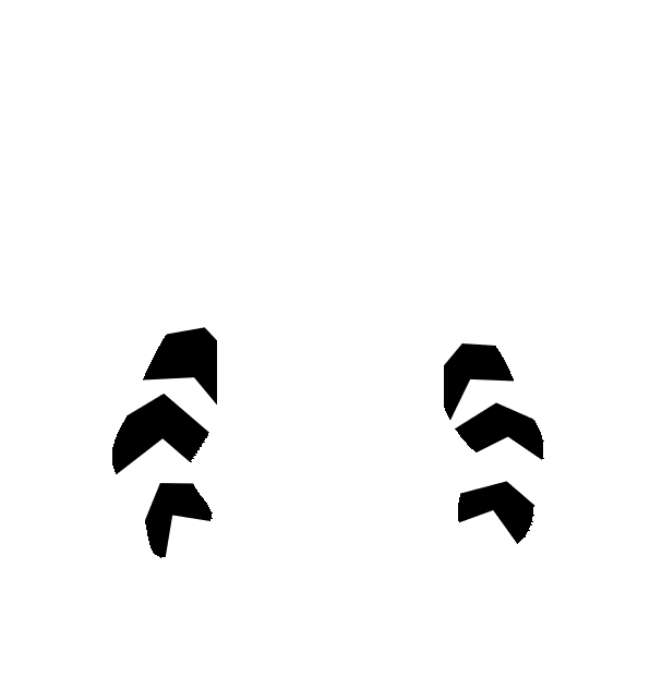 Image Motif