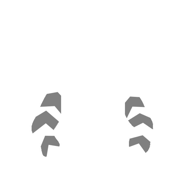 Image Motif