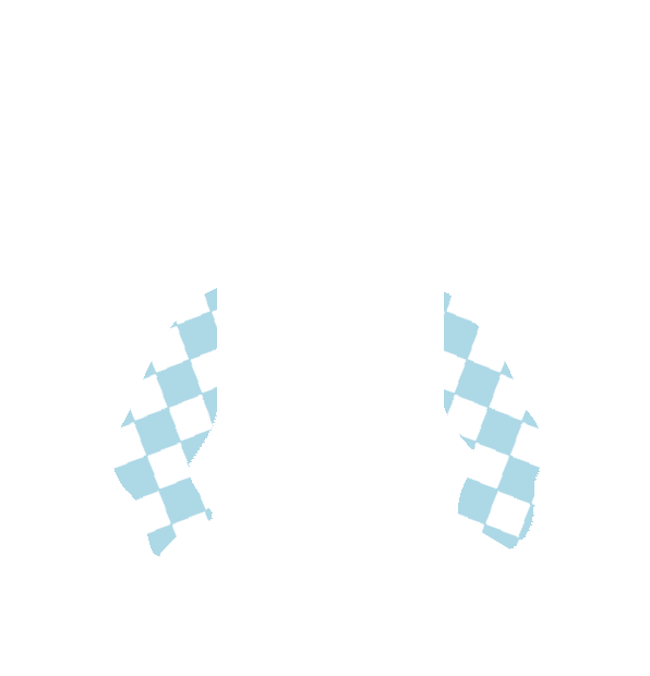 Image Motif