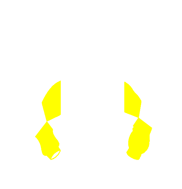 Image Motif