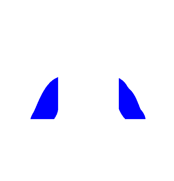 Image Motif