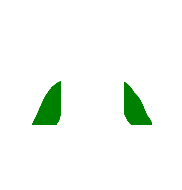 Image Motif