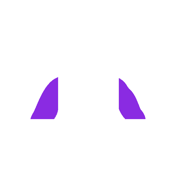 Image Motif