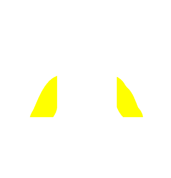 Image Motif