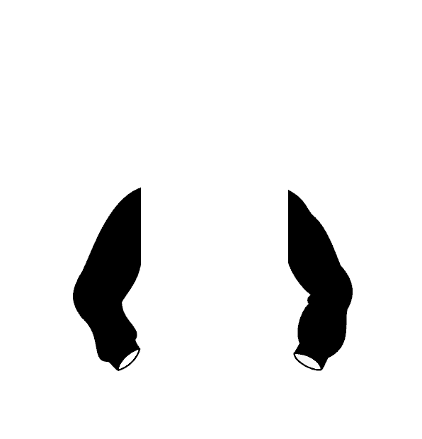 Image Motif