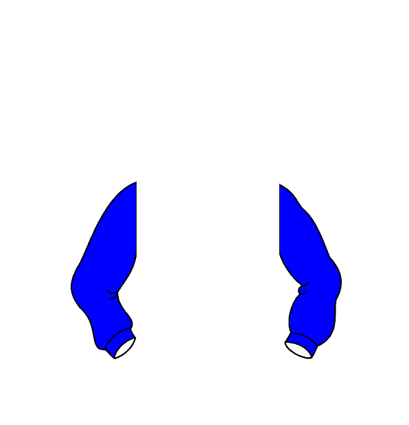 Image Motif