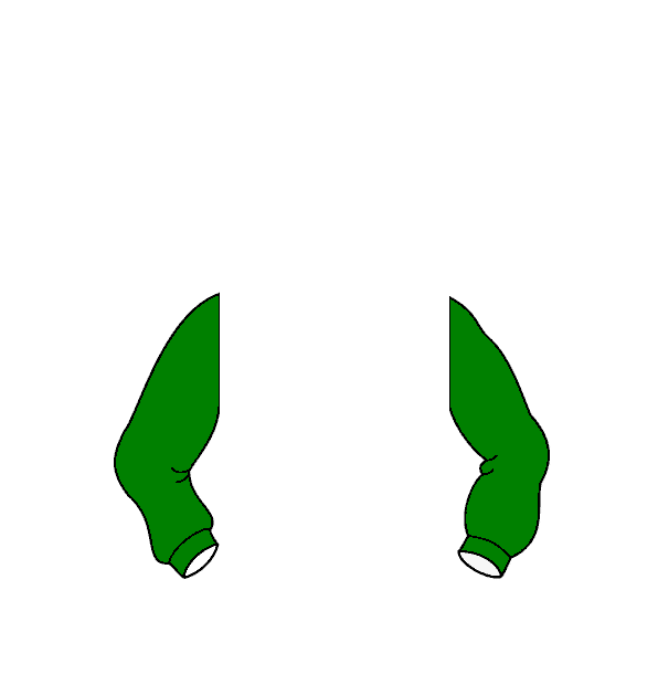 Image Motif