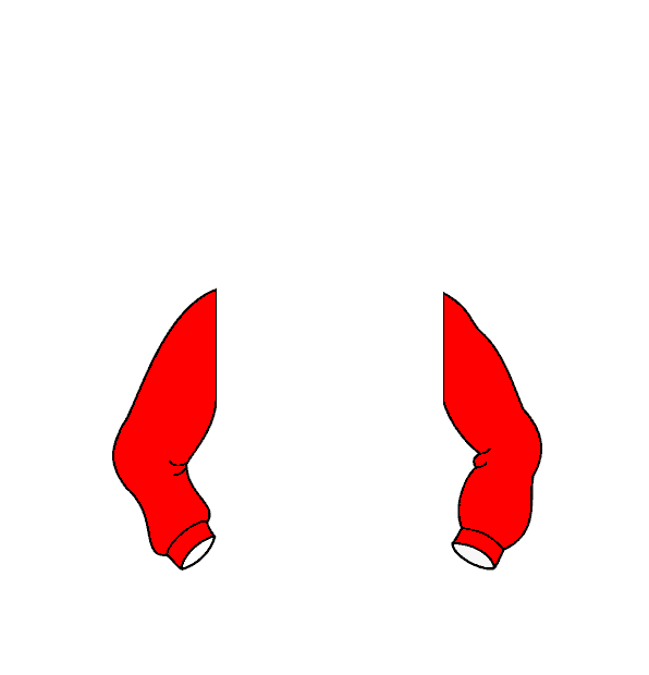 Image Motif