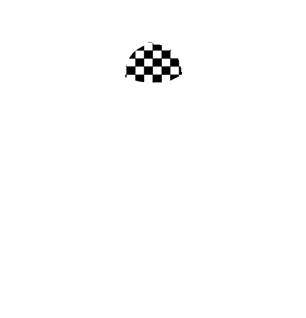 Image Motif
