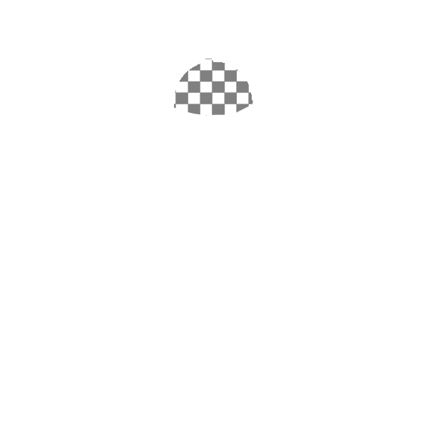 Image Motif